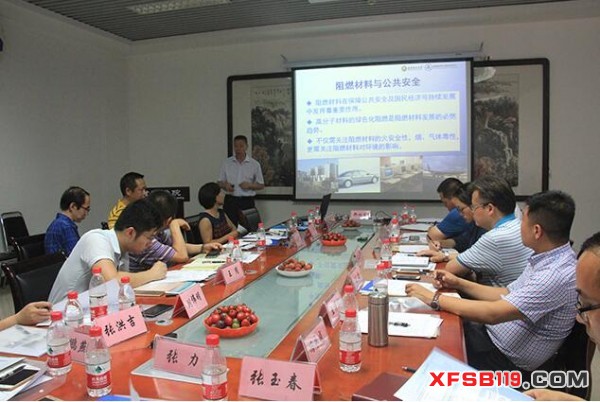 楊榮杰教授講解阻燃新技術(shù)